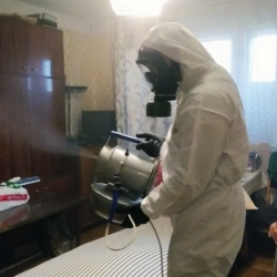 Дезинфекция от клопов в Гороховце
