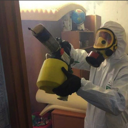 Уничтожение клопов в квартире. Гороховец